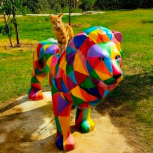 הרצאה מוצא החתול